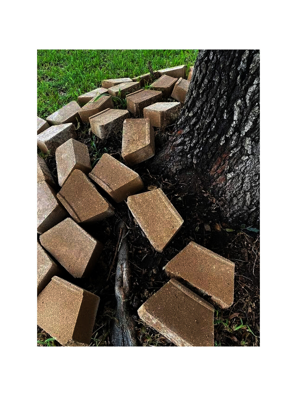 Lot of Retaining wall blocks, stones pavers, in Calgary PIckup Garden